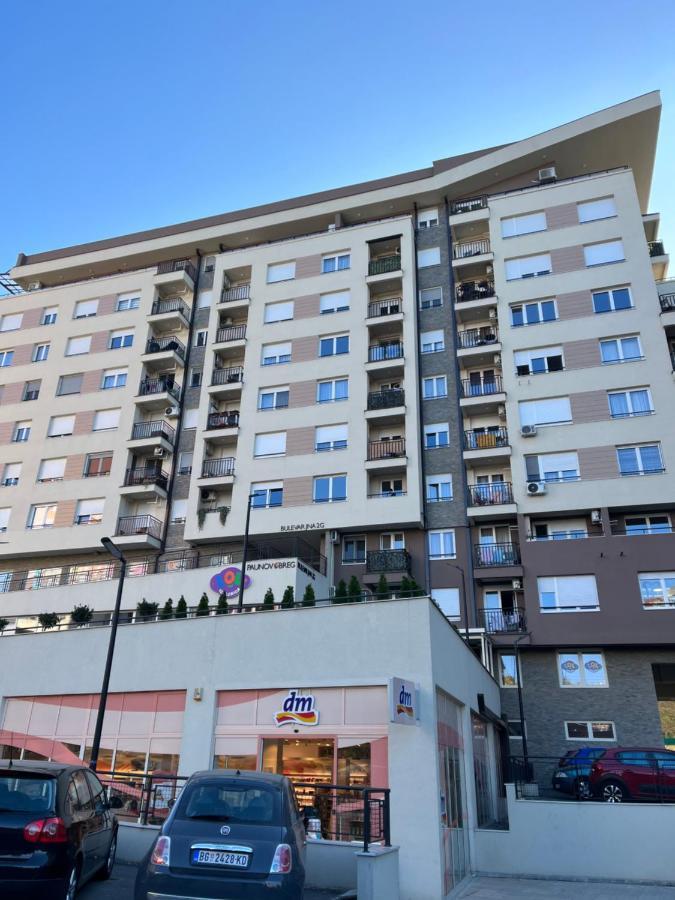Paunov Breg Apartment Beograd Bagian luar foto